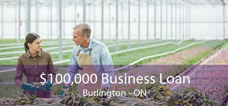 $100,000 Business Loan Burlington - ON