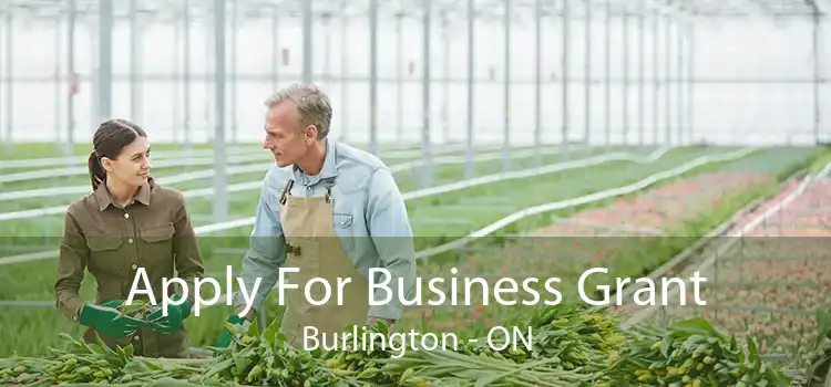 Apply For Business Grant Burlington - ON